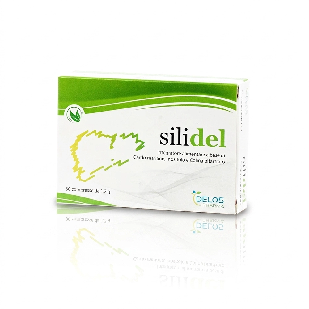 silidel silidel